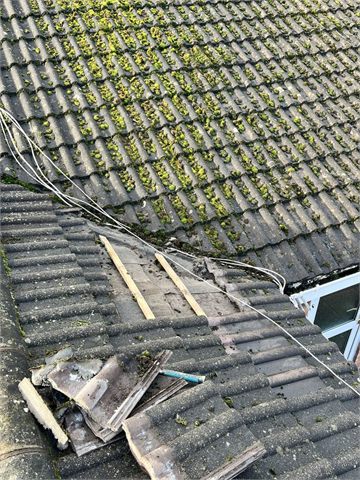 Sloping roof surface, gutter and nearby branches