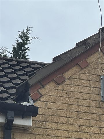 Roof edge and guttering beside a brick gable wall